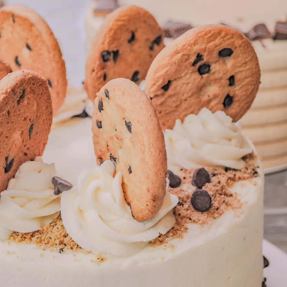 Chocolate Chip Cookie Dough Cake 
