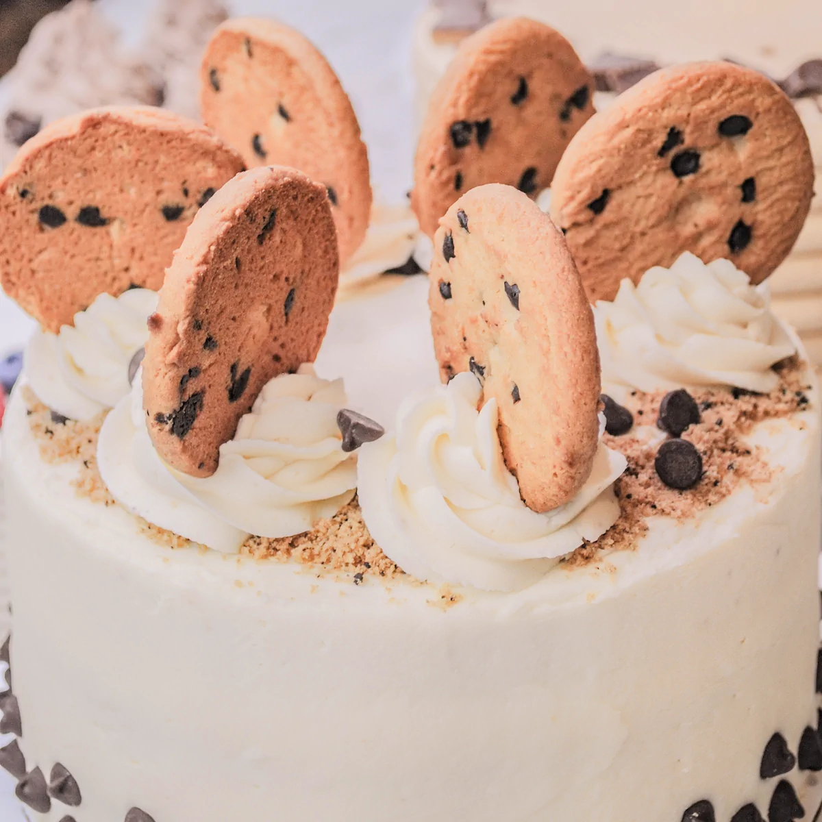 chocolate-chip-cookie-001