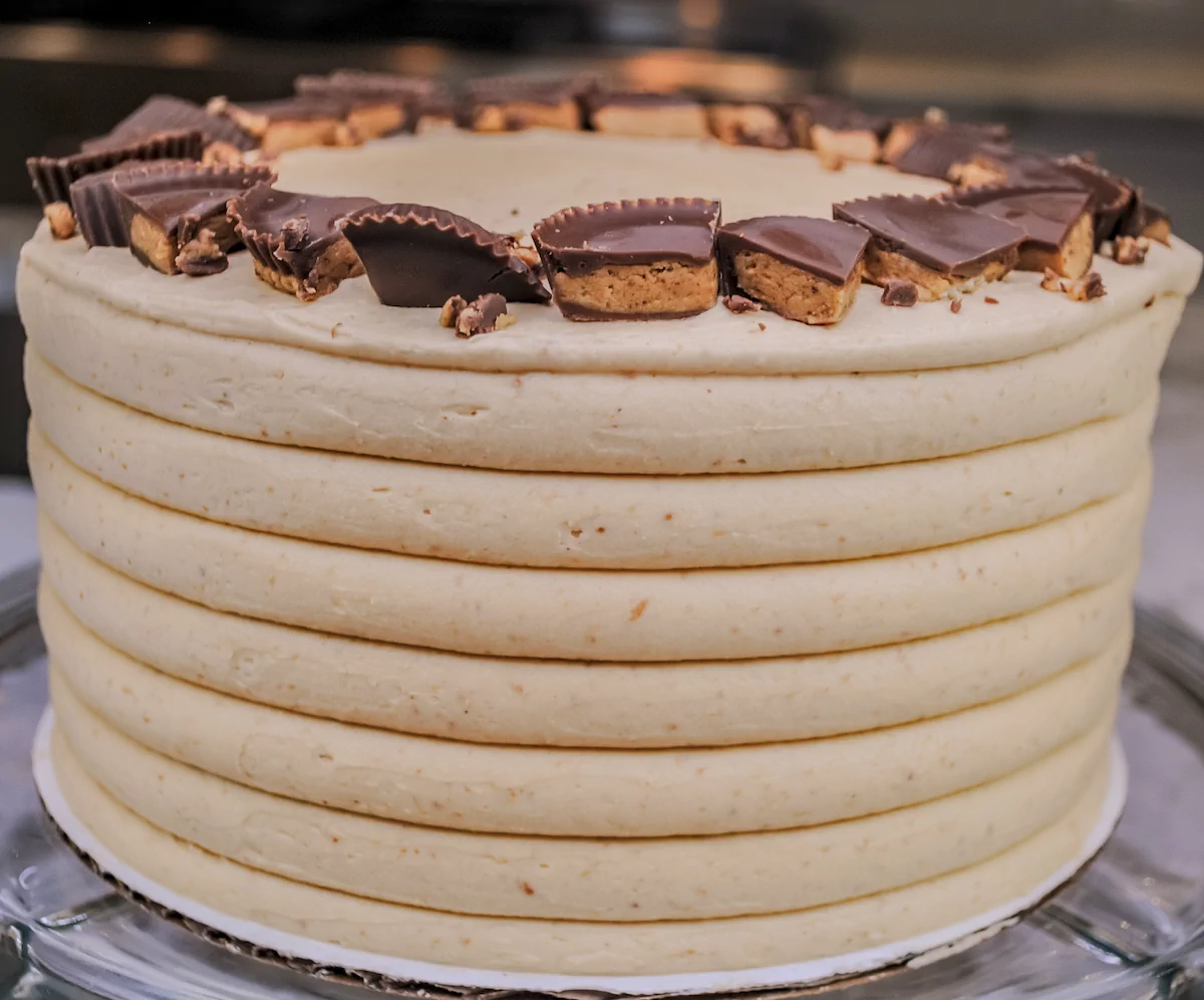 Chocolate Peanut Butter Cake
