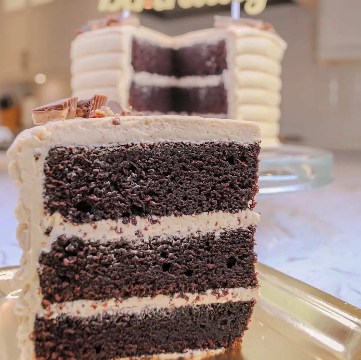 peanut-butter-chocolate-cake-003